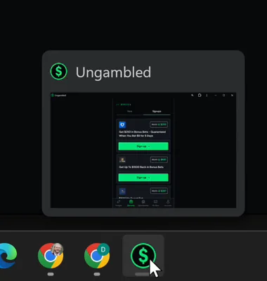 The app shows up in your taskbar like any other program.
